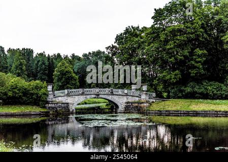 Kleine wunderschöne Brücke über den Fluss im Park, wunderschöne Landschaft an einem bewölkten Sommertag Stockfoto