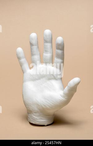 Weißes Handmodell aus Kunststoff, bedruckt mit innovativer 3D-Drucktechnologie mit fünf Fingern Stockfoto