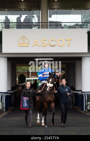 Ascot, Berkshire, Großbritannien. November 2024. SAMARRIVE fährt mit Jockey Lorcan Williams auf die Strecke für das Limited Handicap Steeple Chase Class 3 GBB Race der Ascot Underwriting Novices beim Fireworks Spectacular Family Raceday auf der Ascot Racecourse, Berkshire. Kredit: Maureen McLean/Alamy Stockfoto