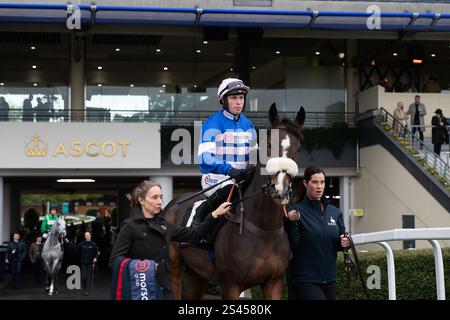 Ascot, Berkshire, Großbritannien. November 2024. SAMARRIVE fährt mit Jockey Lorcan Williams auf die Strecke für das Limited Handicap Steeple Chase Class 3 GBB Race der Ascot Underwriting Novices beim Fireworks Spectacular Family Raceday auf der Ascot Racecourse, Berkshire. Kredit: Maureen McLean/Alamy Stockfoto