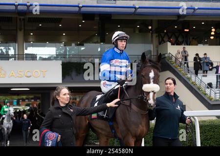 Ascot, Berkshire, Großbritannien. November 2024. SAMARRIVE fährt mit Jockey Lorcan Williams auf die Strecke für das Limited Handicap Steeple Chase Class 3 GBB Race der Ascot Underwriting Novices beim Fireworks Spectacular Family Raceday auf der Ascot Racecourse, Berkshire. Kredit: Maureen McLean/Alamy Stockfoto