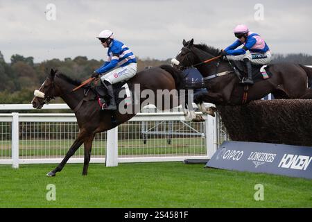 Ascot, Berkshire, Großbritannien. November 2024. SAMARRIVE (Nr. 1), geritten von Jockey Lorcan Williams, ist beim Limited Handicap Steeple Chase Class 3 GBB Race der Ascot Underwriting Novices beim Fireworks Spectacular Family Raceday auf der Ascot Racecourse, Berkshire, einen Zaun frei. Kredit: Maureen McLean/Alamy Stockfoto