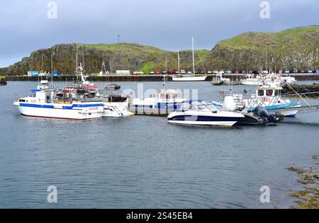 Stykkisholmur oder Stykkiholmsbaer, Hafen und Insel Sugansdisey. Region Vesturland, Halbinsel Snaefellsnes, Island. Stockfoto