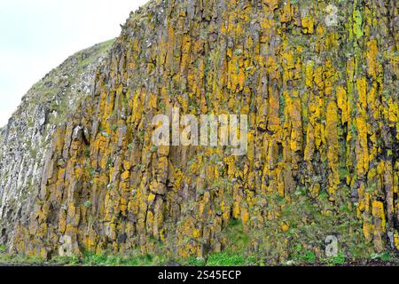 Stykkisholmur oder Stykkiholmsbaer. Sugansdisey Insel mit Säulenbasalt. Region Vesturland, Halbinsel Snaefellsnes, Island. Stockfoto