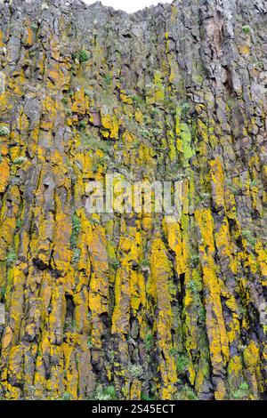 Stykkisholmur oder Stykkiholmsbaer. Sugansdisey Insel mit Säulenbasalt. Region Vesturland, Halbinsel Snaefellsnes, Island. Stockfoto