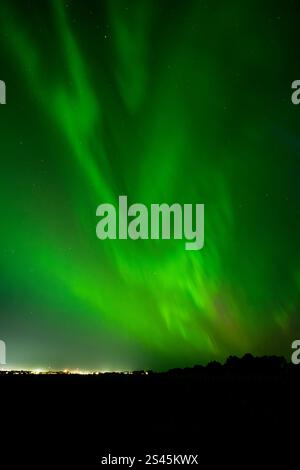 Nordlichter über und in der Nähe von Winkler, Manitoba, Kanada. Stockfoto