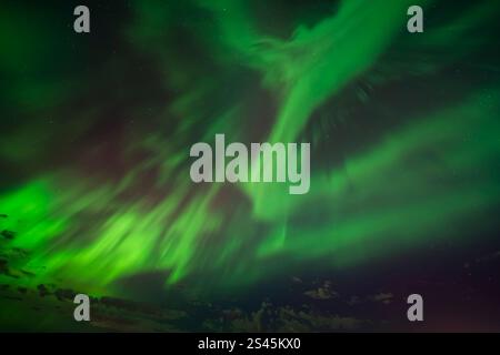 Nordlichter über und in der Nähe von Winkler, Manitoba, Kanada. Stockfoto