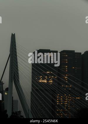 Rotterdam Bridge, Niederlande Stockfoto