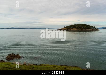 Täuschungsinsel wird an einem bewölkten Tag vom Strand des wunderschönen Deception Pass State Park in Washington, Bundesstaat USA, gesehen. Stockfoto