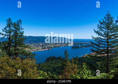 Der Columbia River ist von einem Ausblick entlang der Grenze zu Washington, Oregon in den USA zu sehen. Stockfoto