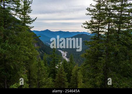Fluss Fließt Durch Mountain Valley, Mt. Rainier National Park, Washington, USA Stockfoto