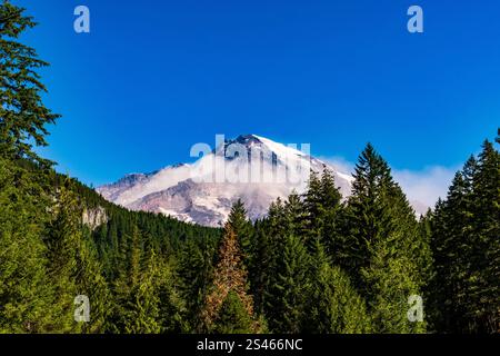 Der legendäre Gletschergipfel des Mt. Rainier, wie in Mt. Rainier National Park, WA, USA. Stockfoto