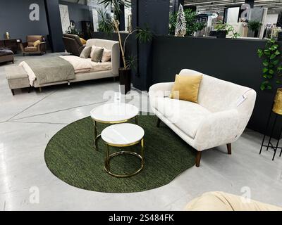 Kiew, Ukraine - 10. Januar 2025: Moderne Möbel mit gemütlicher Couch, Glastischen und dekorativen Pflanzen auf einem grünen Auto Stockfoto