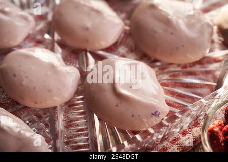 Zubereitung alternativer gesunder Desserts aus Joghurt, Molkenprotein und gefrorenen Waldfrüchten Stockfoto
