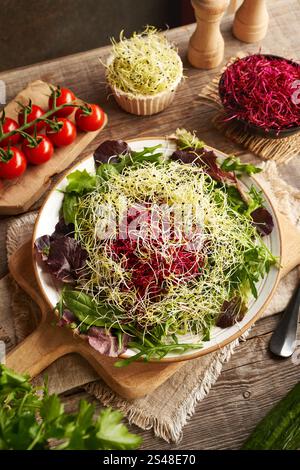 Frischer junger Lauch und Rote-Rüben-Sprossen in einem Gemüsesalat Stockfoto