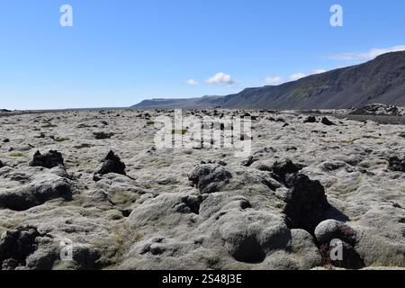 Südküste Islands Landschaft auf dem Ozean mit Lavagestein bedeckt mit weißen Flechten und Moos vom Vulkan Fagradalsfjall, Skandinavien, Europa Stockfoto