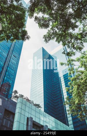 Moderne Glashochhäuser, eingerahmt von üppig grünen Ästen. Urbane Architektur trifft auf Natur in Harmonie. Wunderschöner Wolkenkratzer mit niedrigem Weitwinkel-Shot Dura Stockfoto