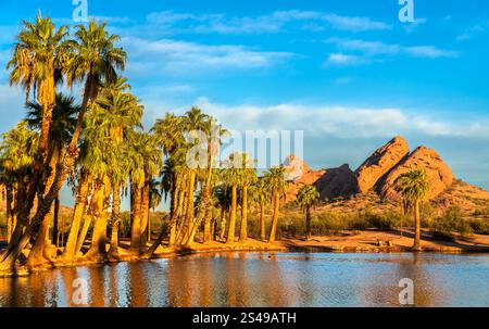 Palmen und Wasserspiegelung in einer Oase umgeben von Wüste und Bergen im Papago Park, Phoenix, Arizona, USA Stockfoto