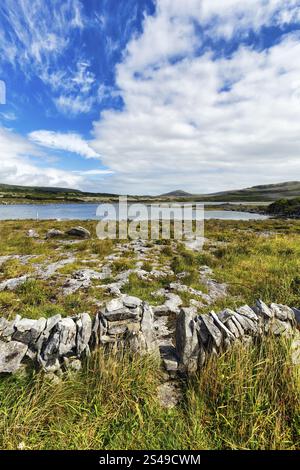 Der Wanderweg führt durch Steinmauer, Grenze, Karstlandschaft, See am Horizont, Burren National Park, County Clare, Irland, Europa Stockfoto