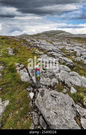 Wanderweg mit Markierungen, führt über bizarr geformte Kalksteinplatten in Karstlandschaft, Hügel am Horizont, Burren National Park, County Clare, Stockfoto