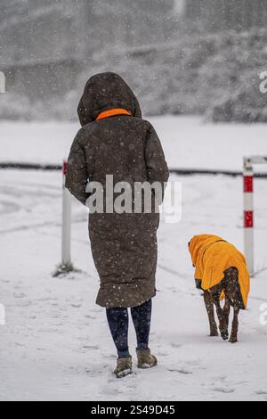 Winterwetter, starker Schneefall, Frau mit Hund, mit Winterdecke, im Schneesturm, Essen, Nordrhein-Westfalen, Deutschland, Europa Stockfoto