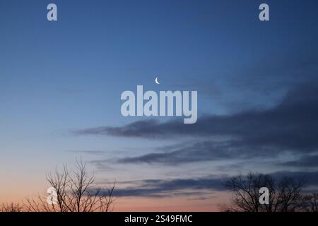 Abnehmender Halbmond im klaren blauen Himmel Stockfoto