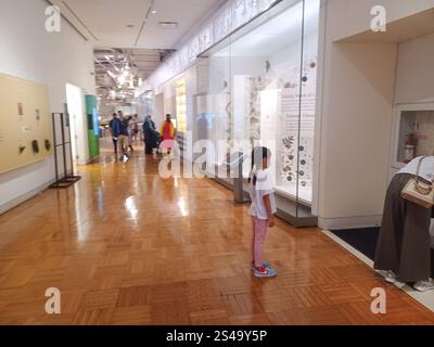 Toronto, ON, Kanada - 18. Dezember 2024: Die Naturhistorischen Sammlungen werden in einer Ausstellung im Royal Ontario Museum ausgestellt. Stockfoto