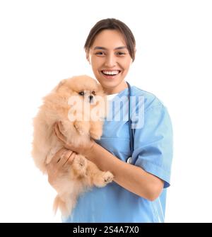 Weibliche Tierärztin mit niedlichem Pommerschen Hund auf weißem Hintergrund Stockfoto