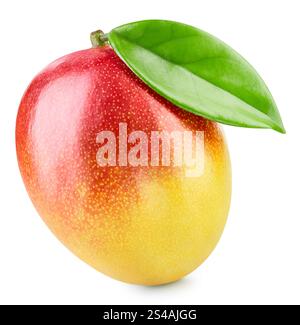 Mango, eine Frucht mit isoliertem Blatt. Mango-Beschneidungspfad. Reife, frische, beste Mango. Stockfoto
