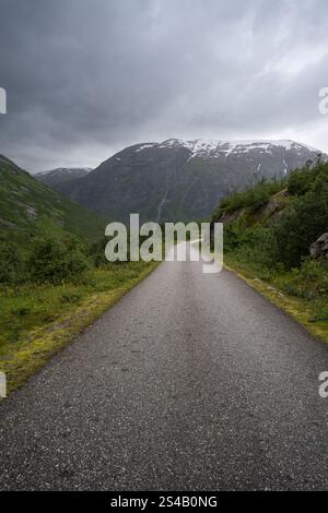 Eine leere Landstraße erstreckt sich geradeaus, flankiert von üppigem Grün und führt zu hoch aufragenden Bergen mit schneebedeckten Gipfeln unter einem bewölkten Sch Stockfoto