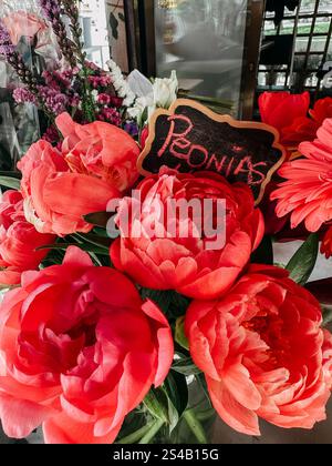 Verkauf von blühenden frischen rosa und roten Pfingstrosen in einem Schaufenster mit einem Schild mit dem Namen der Blume Pfingstrose. Knospen und Blütenblätter. Frühlingsblumengeschäft. Stockfoto