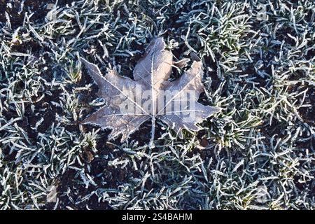 London, England, Großbritannien. Januar 2025. Frostiger Morgen in London, während die Temperaturen im ganzen Vereinigten Königreich anhalten. (Kreditbild: © Vuk Valcic/ZUMA Press Wire) NUR REDAKTIONELLE VERWENDUNG! Nicht für kommerzielle ZWECKE! Stockfoto