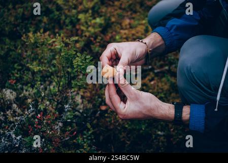 Mann Pilzpflücker, der saisonale Pilzernte im Schatten des Waldes erntet Stockfoto