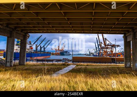 Große Kräne im Hafen, die Güter aus Containern von Schiffen entladen, Frachthafen in Gdynia Stockfoto
