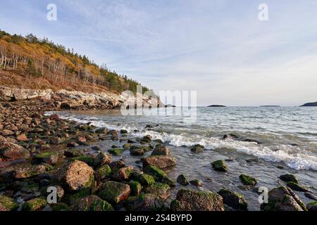 Algen wachsen auf Felsen, die die Küste dieses Maine Strandes säumen. Es ist Herbst, und die Herbstfarben sind immer noch auf vielen Bäumen zu sehen. Ein Small Wave com Stockfoto