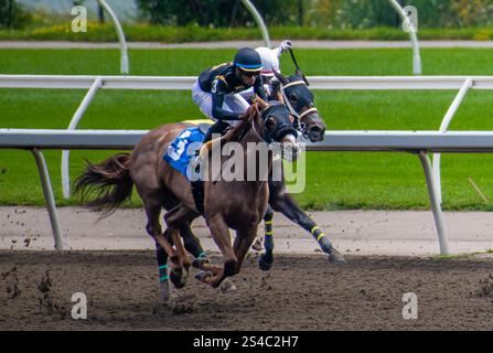 Toronto Woodbine Pferderennen 2. August 2024 Toronto Woodbine Rennstrecke Pferderennen auf matschigen Strecken, Ontario Kanada Stockfoto