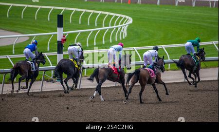 Toronto Woodbine Pferderennen 2. August 2024 Toronto Woodbine Rennstrecke Pferderennen auf matschigen Strecken, Ontario Kanada Stockfoto