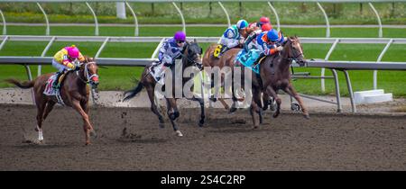 Toronto Woodbine Pferderennen 2. August 2024 Toronto Woodbine Rennstrecke Pferderennen auf matschigen Strecken, Ontario Kanada Stockfoto