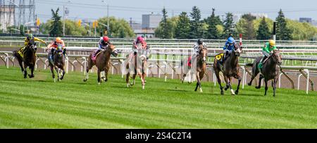 Toronto Woodbine Pferderennen 2. August 2024 Toronto Woodbine Rennstrecke Pferderennen auf matschigen Strecken, Ontario Kanada Stockfoto