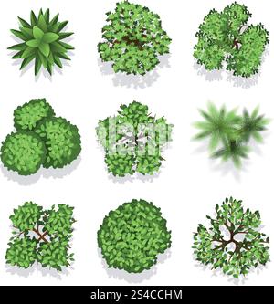 Draufsicht verschiedene Pflanzen und Bäume Vektorset für Architektur- oder Landschaftsdesign. Blick von oben auf verschiedene Pflanzen und Bäume. Vektorsatz von Bäumen für Architektur- oder Landschaftsdesign. Illustration grüne Bäume für den Garten Stock Vektor