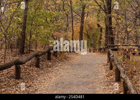 Pfad durch die Wälder im Central Park, New York. Gelbe Blätter auf dem Boden und gefertigter Holzzaun. Keine Personen. Stockfoto
