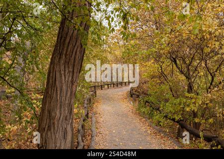 Pfad durch die Wälder im Central Park, New York. Gelbe Blätter auf dem Boden und gefertigter Holzzaun. Keine Personen. Stockfoto