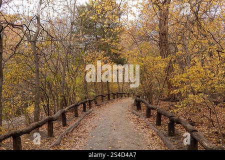Pfad durch die Wälder im Central Park, New York. Gelbe Blätter auf dem Boden und gefertigter Holzzaun. Keine Personen. Stockfoto