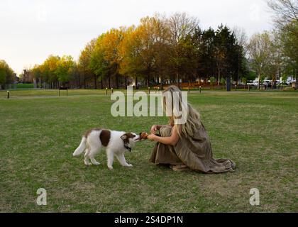 Niedlicher Welpe, der mit seinem Besitzer im Bicentennial Park in Nashville spielt. Stockfoto
