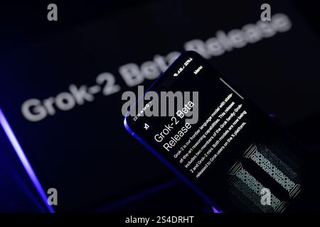 Brüssel, Belgien Januar 2025. Die grok AI-Anwendung wird auf einem Mobiltelefon mit Grok 2,0 auf dem Tablet-Bildschirm angezeigt, in dieser Fotoabbildung. Aufgenommen in Brüssel, Belgien, am 11. Januar 2025. (Jonathan Raa/SIPA USA) *** ausschließlich für redaktionelle Nachrichten *** Credit: SIPA USA/Alamy Live News Stockfoto