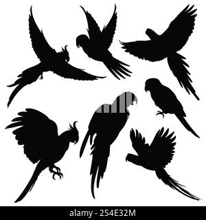 Vektorpapageien, amazonas Dschungelvögel Silhouetten isoliert auf weiß. Schwarze Silhouette Papageien, Illustration von exotischen Vogelpapageien. Vektorpapageien, amazonas Dschungelvögel Silhouetten isoliert auf weiß Stock Vektor