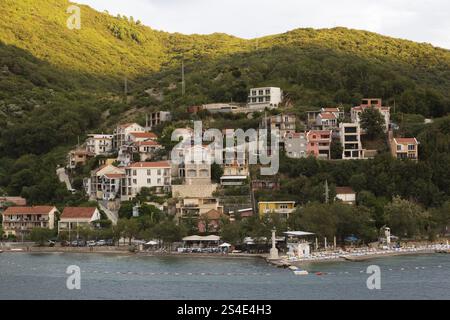 Mehrstöckige Häuser und Villen mit traditionellen Terrakotta-Lehm-Dachziegeln, gebaut am Berghang in Kotor, Montenegro, Europa Stockfoto