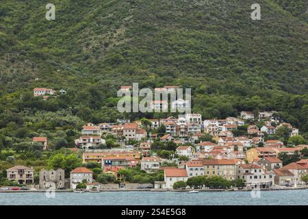 Mehrstöckige Häuser und Villen mit traditionellen Terrakotta-Lehm-Dachziegeln, gebaut am Berghang in Kotor, Montenegro, Europa Stockfoto