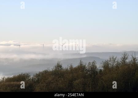 Blick vom Wildenburger Kopf im Nationalpark Hunsrueck-Hochwald der nahe mit Windrädern an einem nebeligen Wintermorgen, Rheinland-Kumpel Stockfoto