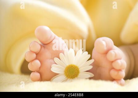 Schöner Babyfuß mit kleinen weißen Gänseblümchen Stockfoto